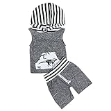 Tovadoo 子供服 ベビー服 男の子 女の子 トップス+ズボン 春夏 タンクトップ 恐竜柄 縞模様 可愛い プレゼント 通学 旅行 海遊び 6ヶ月-2歳