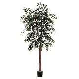 Vickerman 6 '人工グリーンSmilaxデラックスセットin Rattanバスケット 6' グリーン TDX1460-07