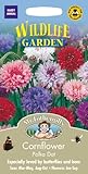 【輸入種子】 Mr.Fothergill's Seeds Wildlife Garden Cornflower Polka Dot Mixed ワイルドライフ・ガーデン コーンフラワー（矢車菊）・ポル