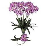 Nearly Natural 2129-PK African Decorative Lily Stem, 29-Inch, Pink [並行輸入品]