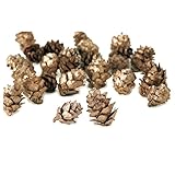 大地農園 天然素材 ミニツガ(50g入り) シックゴールド DO22720-930