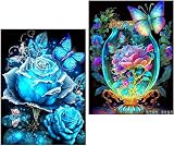 Amyaker ダイヤモンドアート キット 四角いビーズ 全面 2個セット ダイアモンドビーズ絵画キット DIY 手作り絵画 モザイクアート 5D モザイクアート ダイヤモンド塗装 全面貼り付けタイプ 30x40cm 蝶花