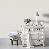 Graham & Brown 20-704 Apollo Wallpaper, Mink [並行輸入品]