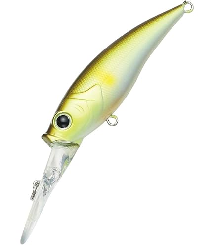 小型ミノー、シャッドセット Amazon.co.jp: 小型 小さい ダイビング ミノー シャッド 5色 セット