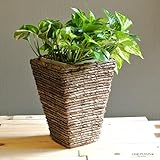 LAND PLANTS 【鉢カバー】 シンプルデザイン スクエアー型鉢カバー 6号サイズ