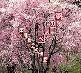 ⵂ̒��ׁ`�Đ�q�qⵂ̐��E�`