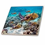 CT _ 26850 Ocean Life – Sea Turtles – タイル 6-Inch-Ceramic ct_26850_2