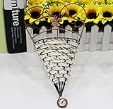 2pc Rattan錬鉄壁バスケットFlowerpotシミュレーションFlower Pots Landscape One Size ホワイト 45058785747-1