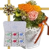 敬老の日 お祝い ギフト 花 プリザーブドフラワー アレンジメント オレンジローズ と ウェッジウッドワイルドストロベリーティーバッグ セット プレゼント