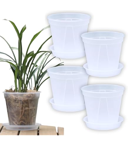 Amazon.co.jp: beyourchoi 植木鉢 透明 5個セット プラスチック