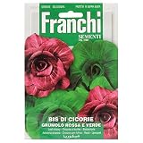 野菜の種 リーフチコリー GRUMOLO ROSSA E VERDE 93/9