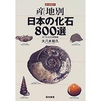 51ZZo9HkT0L._AC_UL210_SR210,