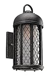 Troy Lighting Signal Hill 12.75"H 1-Light Outdoor Wall Light - Aged Silver Finish with Clear Frosted