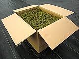 苔 こけ コケ スギゴケ 杉苔【杉苔並品8枚入り（約0.8平米）】