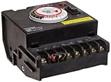 NSI Industries P1104FM-M 24 Hour DPST Swimming Pool Timer with Fireman Switch by "TORK a brand of NS