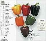 ���y��16 Friends