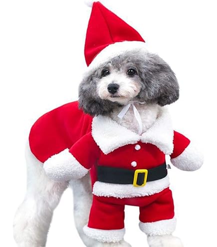 Amazon.co.jp: 犬用サンタコスプレ 帽子付き 二足歩行 犬が可愛い