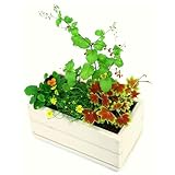 Welcome Woodのプチ寄せ植えプランターJPM28-GC 色はガーデンクリーム　 お花をコーディネイトして色遊び！！ お花を植えて遊ぼう!　 容量・約3.6リットル