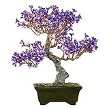 禅ガーデン盆栽花人工ツリーでプランターポット