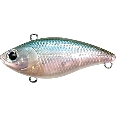 Amazon.co.jp 売れ筋ランキング: undefined の中で最も人気のある商品です