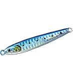 Amazon.co.jp: ダイワ(DAIWA) タングステンジグ ソルティガ TGベイト