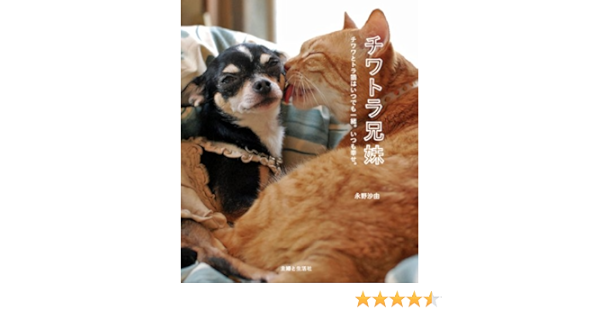 チワトラ兄妹 永野 沙由 本 通販 Amazon