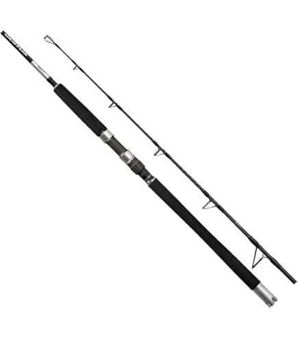 Amazon | シマノ(SHIMANO) ベイトリール 両軸 ジギング 17 Amazon | シマノ(SHIMANO) ベイトリール 両軸 ジギング 17