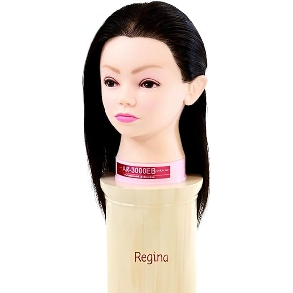 Amazon.co.jp: レジーナ 国家試験練習用レイヤーモデル LC-50T