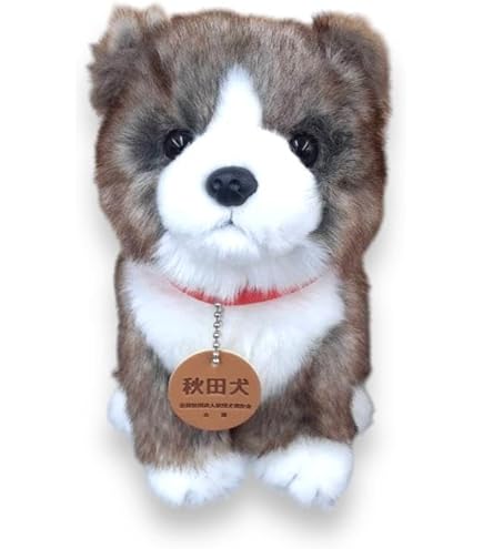 Amazon.co.jp: ほっこり秋田犬 はち兵衛 ウルトラBIGぬいぐるみ