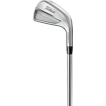 Amazon.co.jp: タイトリストアイアン 25 T100 4G RH New AMT