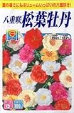アタリヤ農園 種 八重咲松葉牡丹 0.3ml