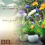 STARDUST フラワー 造花02 ３個セット 人工 部屋 リアル 会社 緑 おしゃれ インテリア フェイクグリーン 072-B SD-072-B