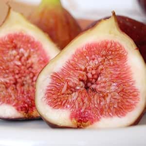 Amazon 産地直送 いちじく１箱 ドーフィン種５パック入 よこみぞ農園 イチジク 通販