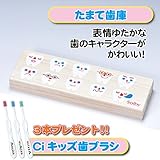 Solby 桐箱乳歯ケース・たまて歯庫 【日付・名前記入用アクリル板付】※Ciキッズはらぺこあおむし3本おまけ付