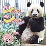 2022年 トライエックス シャンシャンまるごとカレンダー カレンダー 壁掛け CL-385