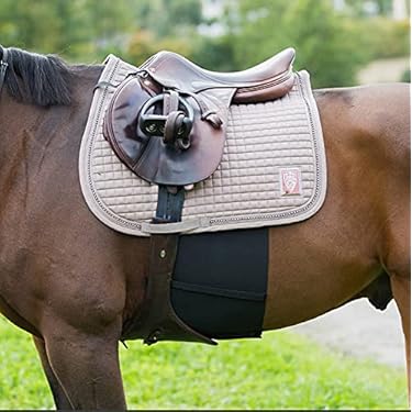 Amazon.co.jp 人気ギフトランキング: 馬用拍車 で、ギフトの設定を使用