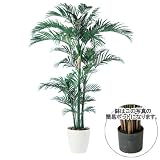 エフプランター 人工観葉植物-アレカヤシ株立-200-7号鉢-簡易ポット
