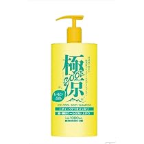 Amazon | ランディスミス 極涼COOLアイスボディソープ(1000ml)クール