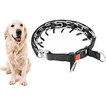 大型犬用首輪 Amazon | アースペットTK DS係留平革首輪 42(超大型犬用) 赤