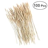 Healifty 100PCの牧歌的な装飾の贈り物の射撃プロップの天然の小麦の乾燥した花の花束のシーブバンドルのプレミアム秋のアレンジメント乾燥した花の花束