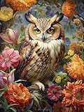 Reofrey ダイヤモンドの絵画 ダイヤモンドアート クロスステッチ キットフクロウ, 手作りキット 動物 全面貼り付けタイプ ビーズア DIY 手芸キットホーム レストラン ラインストーン ホーム 壁掛け 装飾品 30x40cm