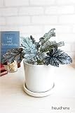 ミニ観葉植物　ヒューケラ（ツボサンゴ） 　【造花】【CT触媒】