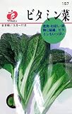 フクカエン ビタミン菜の種（タネ）