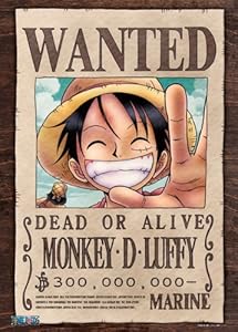 Aazon.co.jp: ワンピ ース ニカルフィ懸賞金 手配書 ワン ピ ポスター