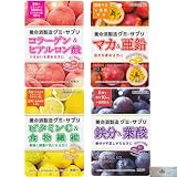 グミサプリ 鉄 亜鉛 葉酸 ビタミンC 食物繊維 4種各1袋 マカ コラーゲン ヒアルロン酸