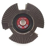 レヂトン 砥石 シースルーヂスク 100×15 SA80 (ステンレス・金属研磨用)
