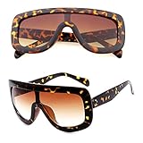 nnda CoレトロレディースBigスタイルサングラスビンテージオーバーサイズデザイナーShades眼鏡、プラスチック+樹脂、1pc NNDA CO