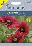 JOFL 英国ジョンソンズシード Gaillardia FIREWHEELS ガイラルディア・ファイヤーホイール