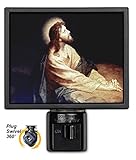 アートプレートnl-626庭のGethsemane Night Light
