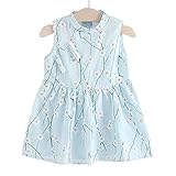 Dizoon 春夏 子供 ベビー キッズ 女の子 ワンピース ドレス スカート 可愛い服 花柄 ピンク ブルー 白 80 85 90 100cm 6-36ヶ月